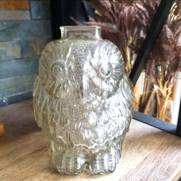 Wise Old Owl, Blown Glass Coin Bank By Anchor Hocking - Picture 1 of 4